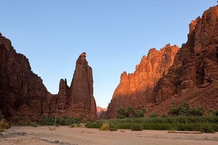A desert canyon with prominent rock formations and sparse vegetation. 2