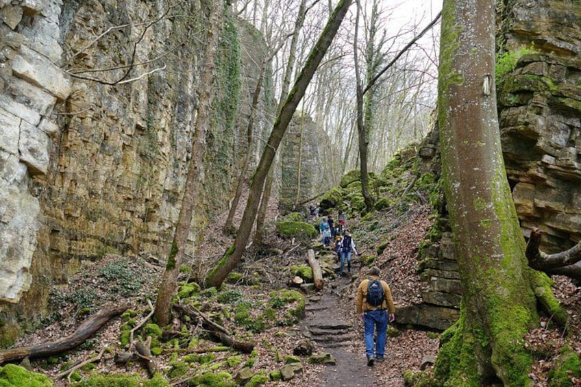 A forested hiking trail with stone walls and moss-covered trees. 2