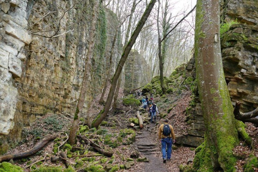 Mullerthal Walk: Berdorf Rocks, Clifftop Wine & the Wolf's Gorge 2