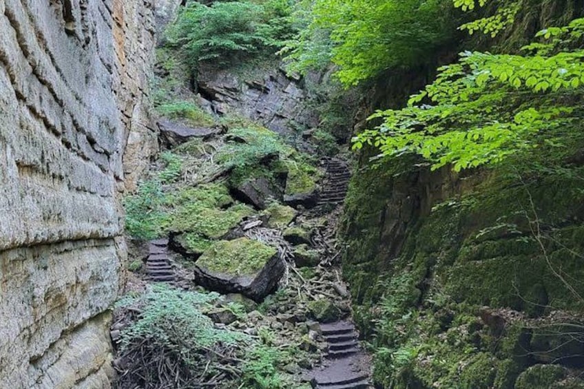 A narrow stone pathway through a forested gorge with moss-covered rocks and greenery. 3