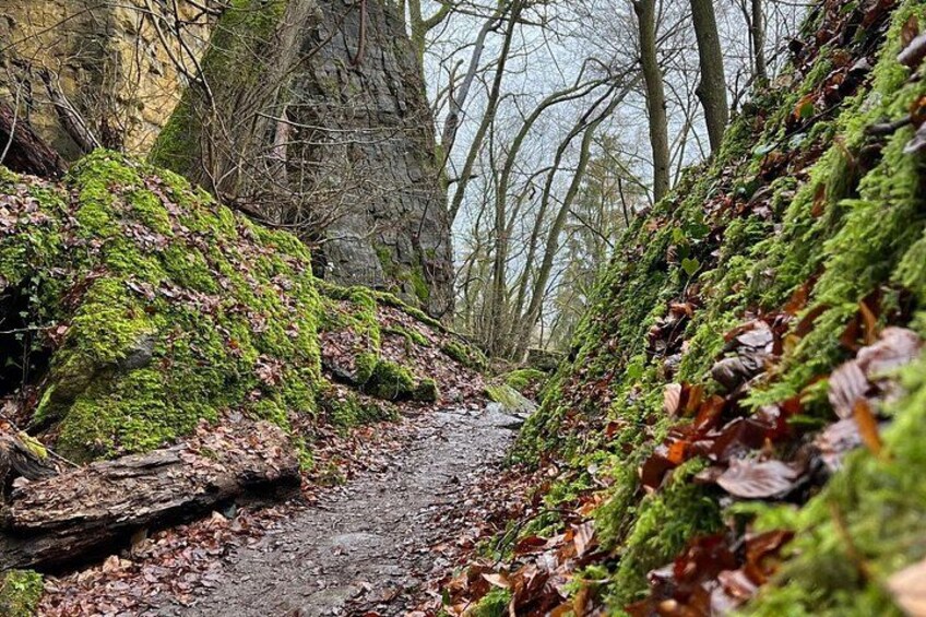 A forest path with moss-covered rocks and fallen leaves. 3