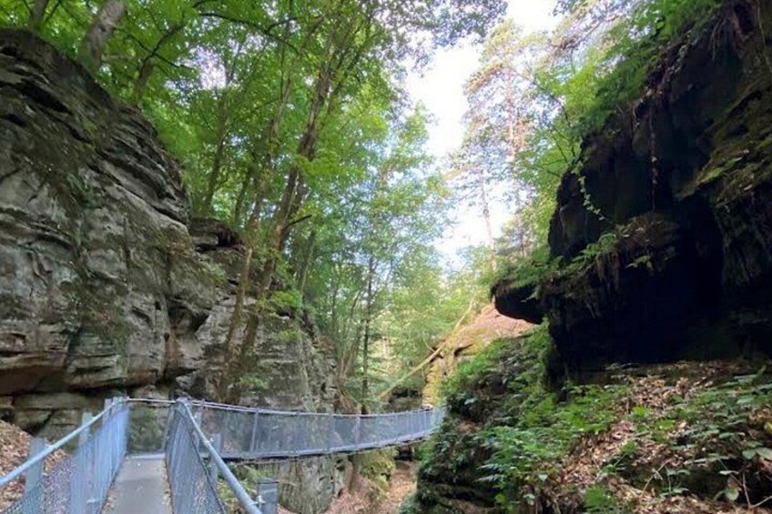 A suspension bridge in a forested canyon with rocky cliffs. 4
