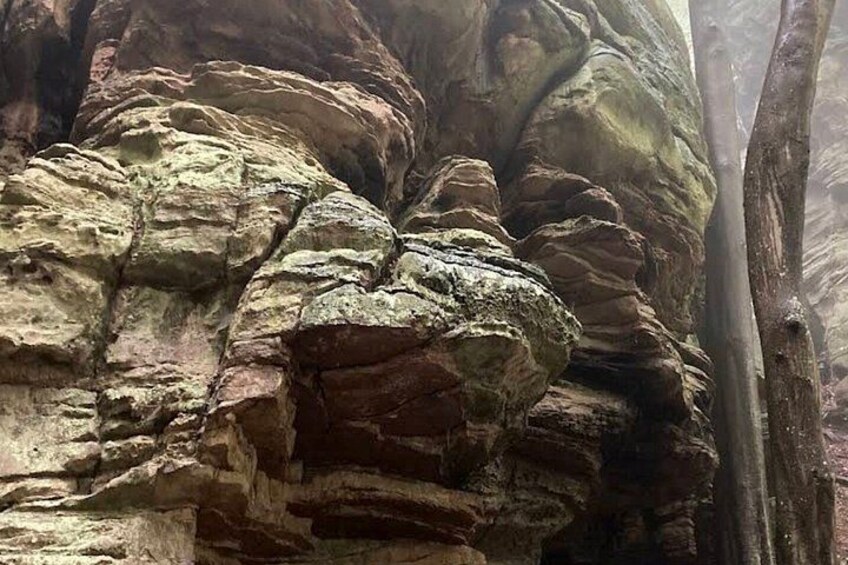 A rock formation with layered strata and a tree trunk. 2