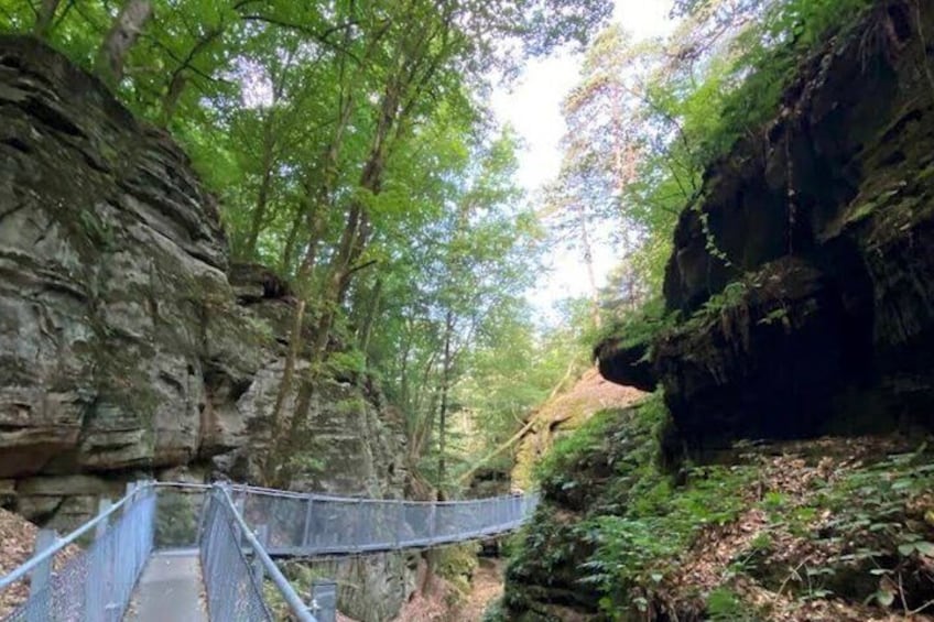 Mullerthal Walk: Berdorf Rocks, Clifftop Wine & the Wolf's Gorge 4