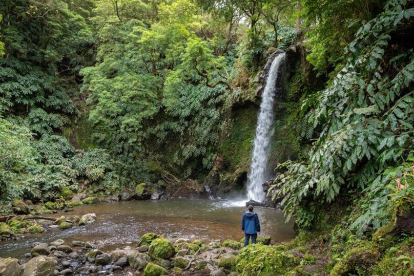 A waterfall in a lush forest with a person standing by the water. 4