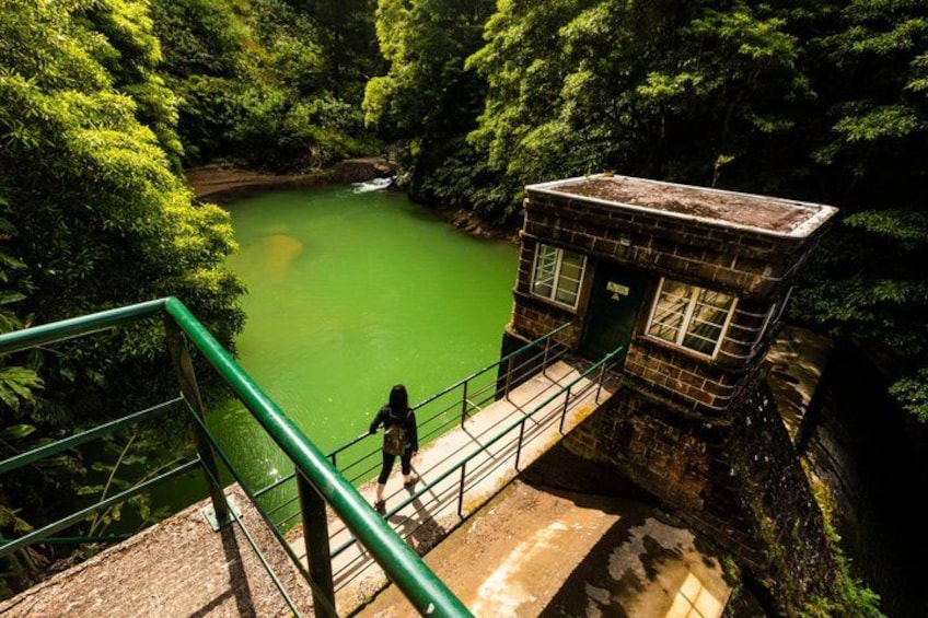 A person walking on a bridge over a green body of water, surrounded by dense forest. 2