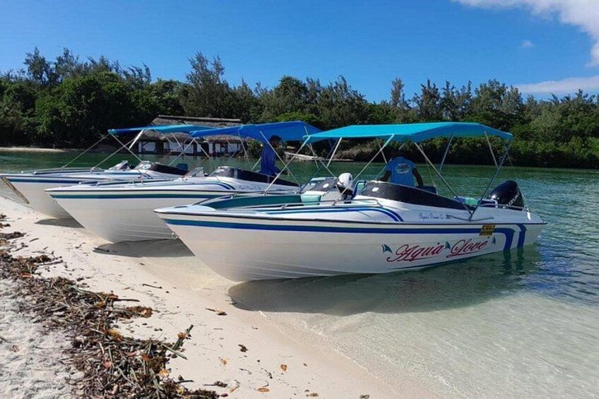 Una hilera de barcos con toldos azules en una playa arenosa. 1