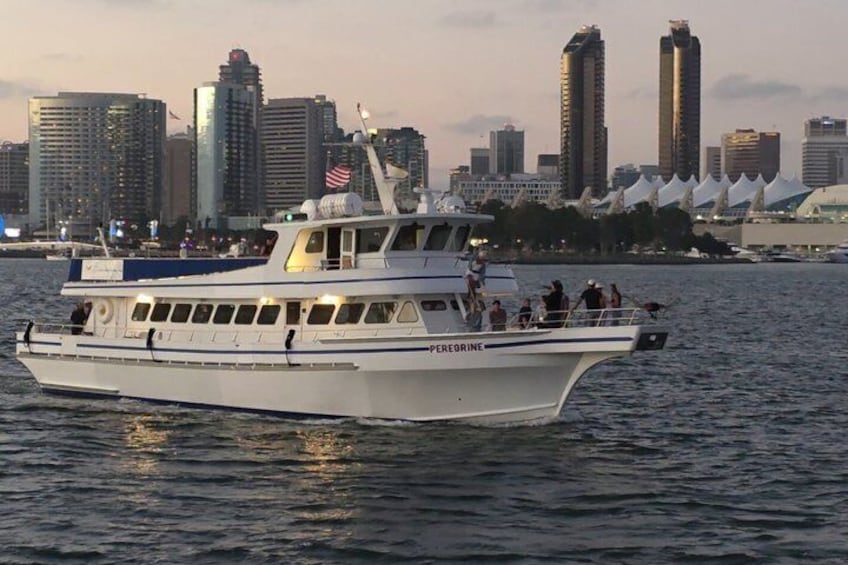 San Diego Whale/Dolphin Watching Cruise Aboard Luxury Vessel 4