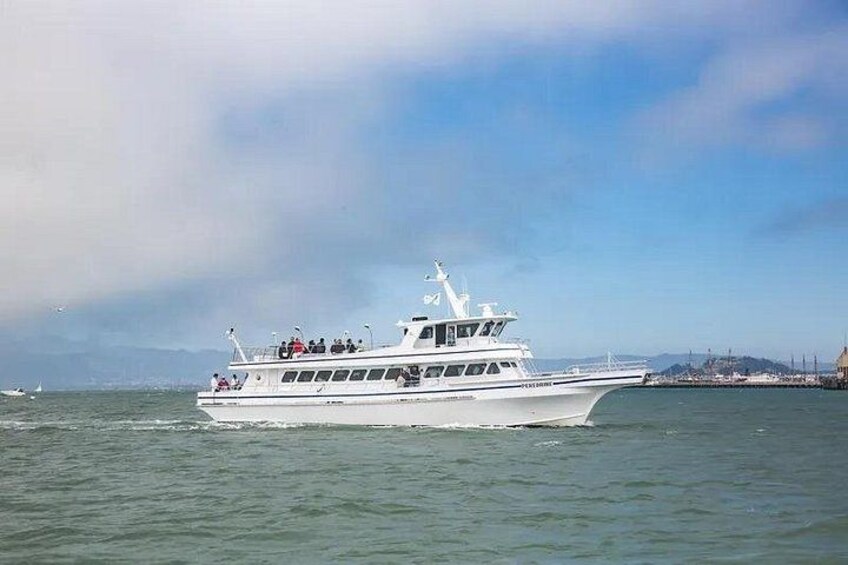 San Diego Whale/Dolphin Watching Cruise Aboard Luxury Vessel 3