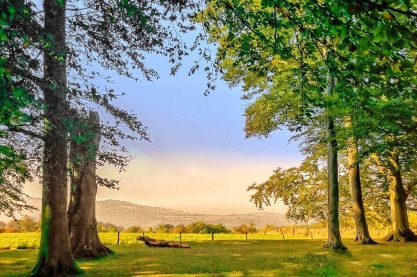 A serene park with tall trees, a grassy field, and a distant mountain range. 5