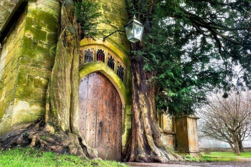 A large tree with a wooden door and a lantern. 2