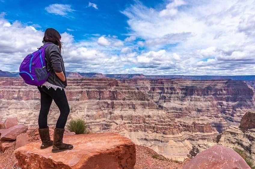 A person standing on a rock with a purple backpack, overlooking a canyon with layered rock formations. 1