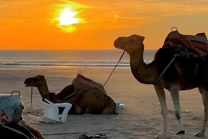 Tangier Highlights Private Tour – Discover the Best of the City 3