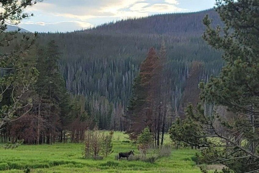 Estes Park Off Road 4x4 Jeep Adventure Tour 2