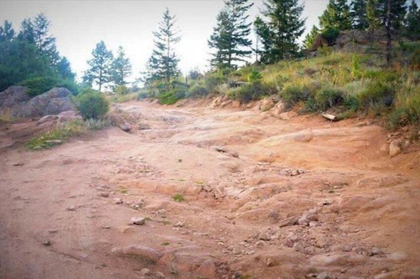 Estes Park Off Road 4x4 Jeep Adventure Tour 3