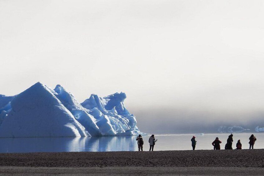 A group of people standing on a beach with large icebergs in the background. 4