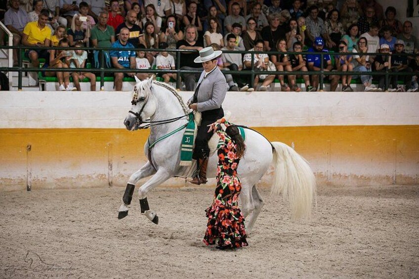 Andalusian Horses and Flamenco show with transportation 1