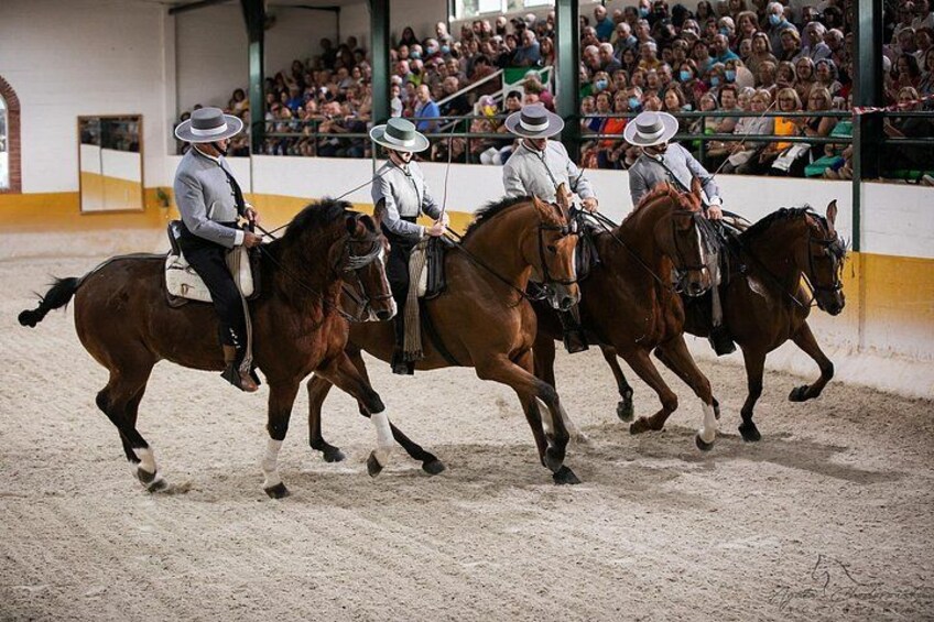 Andalusian Horses and Flamenco show with transportation 2