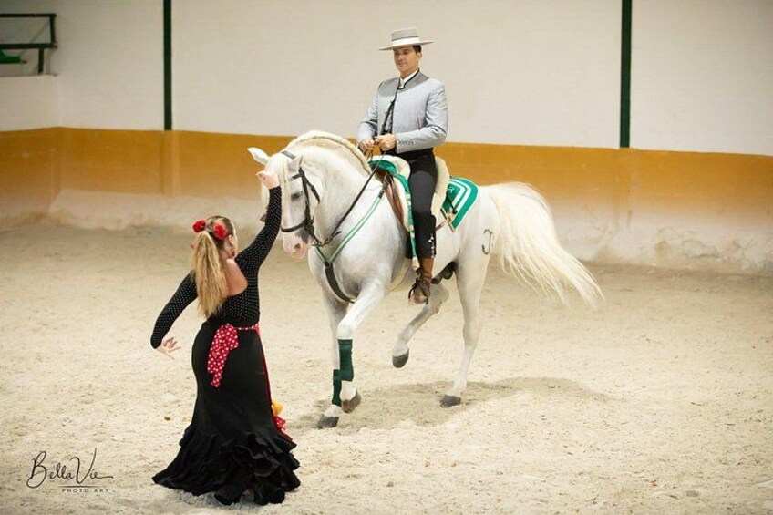 Andalusian Horses and Flamenco show with transportation 2