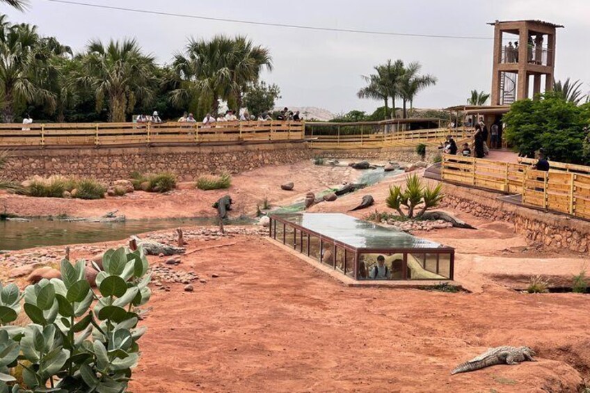 A desert landscape with a bridge, palm trees, a watchtower, and a glass enclosure. 4