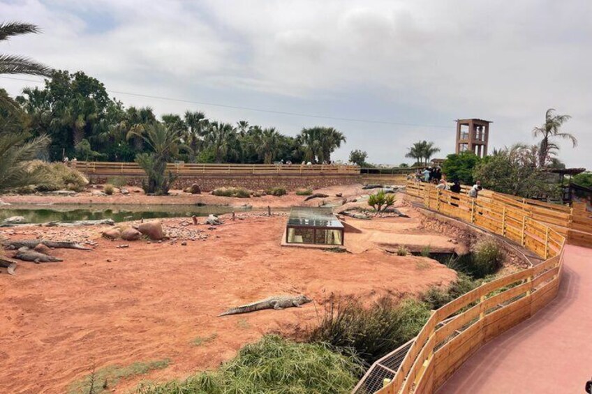 A desert landscape with a wooden bridge, a small building, and palm trees. 3