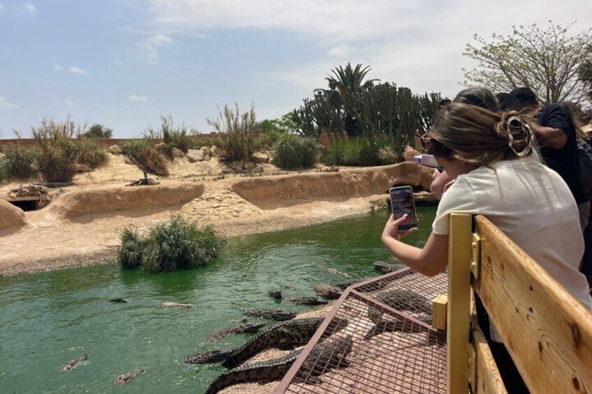 A riverbank with crocodiles and a person taking a photo. 5