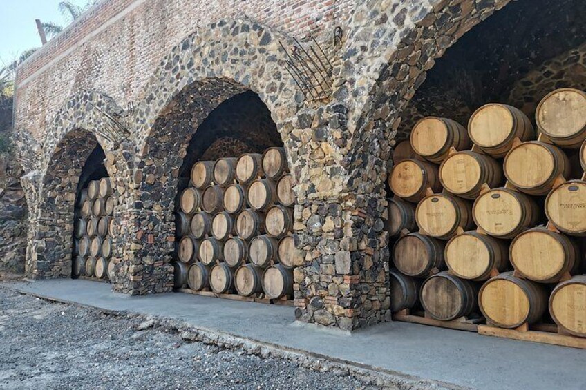 Cellar Cave 5