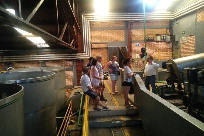 Tequila Distillery 4