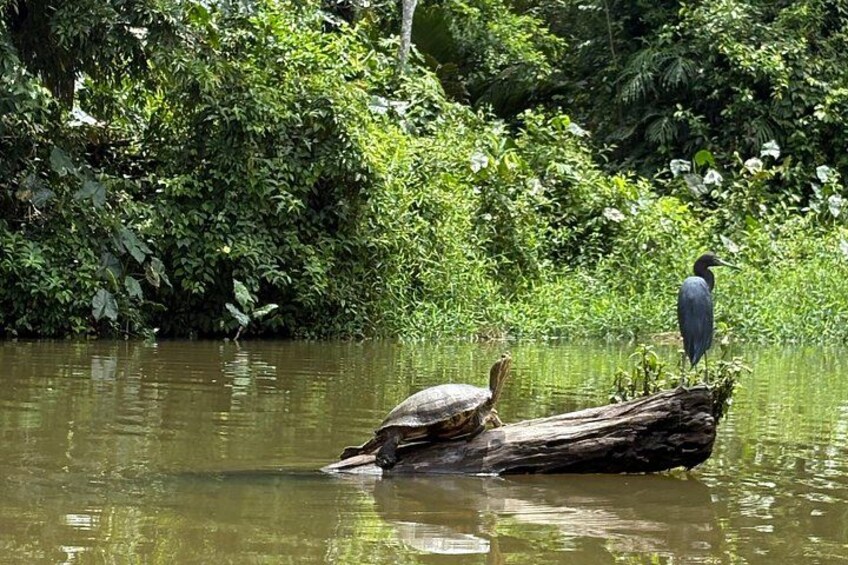 Unforgettable canoe adventure 3