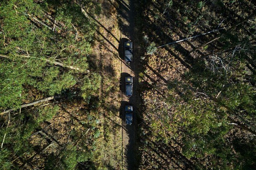 Vista aerea di una zona boscosa con una strada stretta e tre veicoli parcheggiati lungo di essa. 3