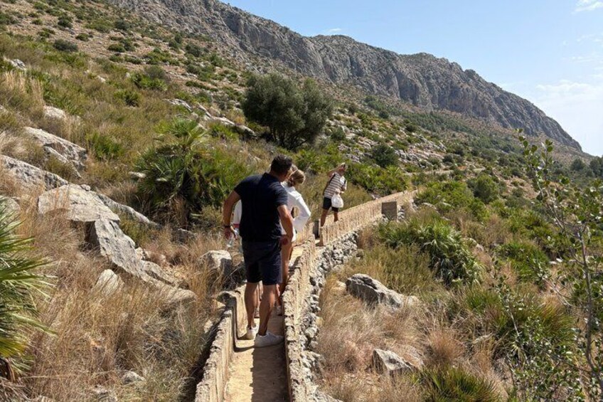 Camino Cocino y Vino: Walk. Taste. Celebrate. 5