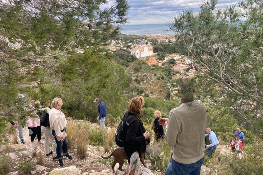 A group of people hiking on a rocky trail with pine trees, overlooking a coastal town with a church. 2