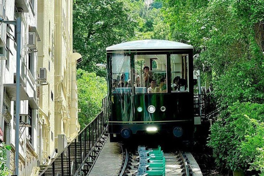 A green cable car on tracks surrounded by lush greenery and buildings. 1