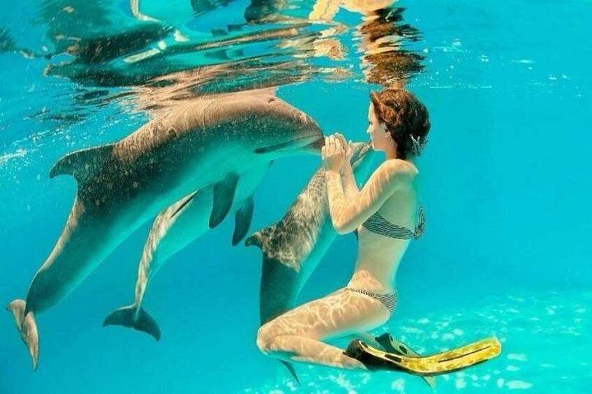 A person underwater with a dolphin, wearing a bikini and flippers. 5