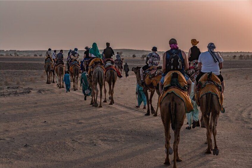 Blissful Half Day Sunset Camel Safari with Musical Evening 2