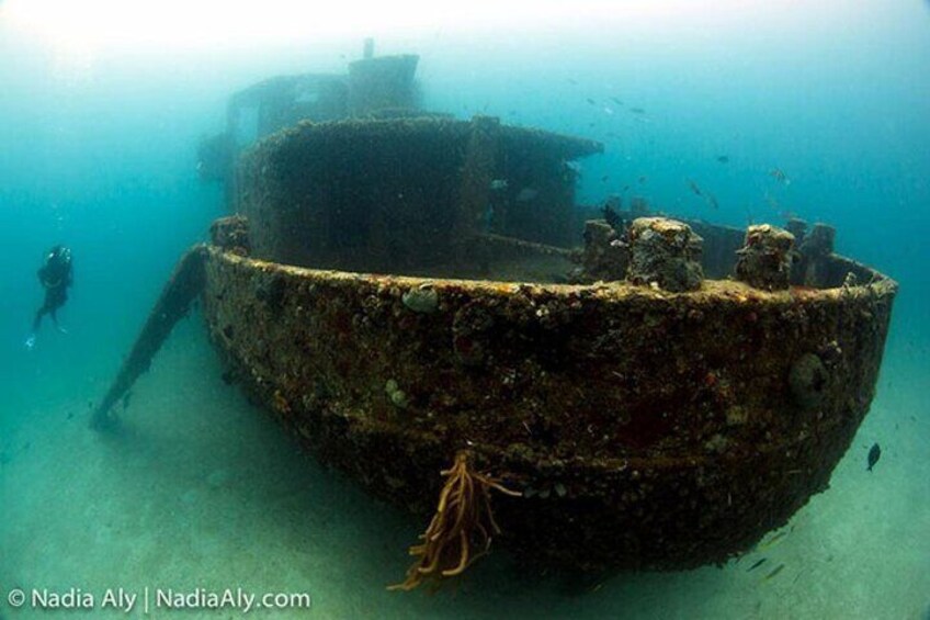 Scheduled 1 Tank Night Dive  3