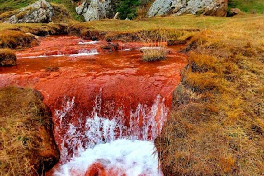 Ein roter Fluss fließt durch eine grasbewachsene Landschaft mit Felsen und Steinen. 5