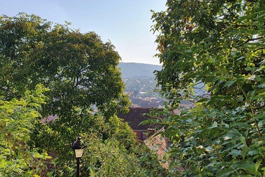 Un paisaje verde exuberante con un farol, follaje denso y una vista distante de un pueblo. 2