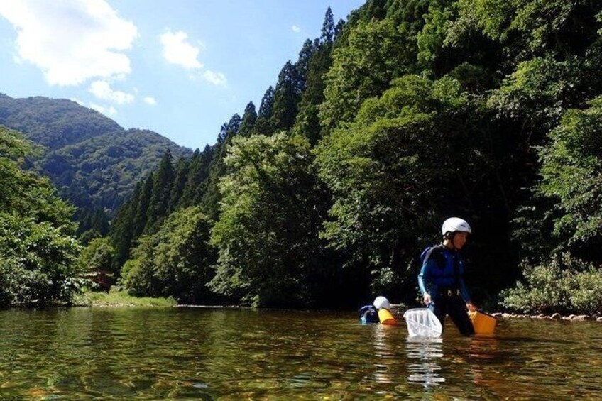 A person in a kayak on a river surrounded by dense forest and hills. 5