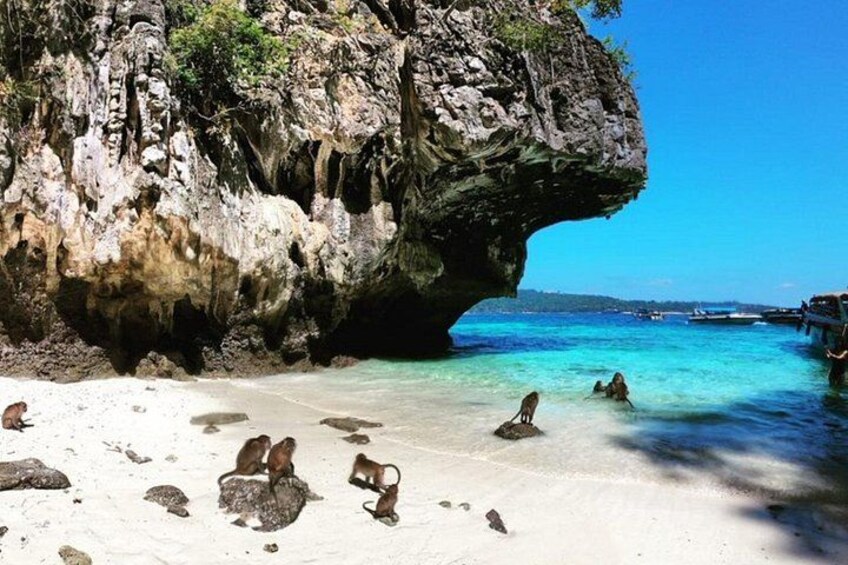 Private Speedboat Tour to Phi Phi Islands From Krabi 4