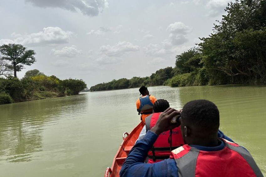 4 Days Hippos Sanctuary & Mole National Park, Wildlife Safari. 3