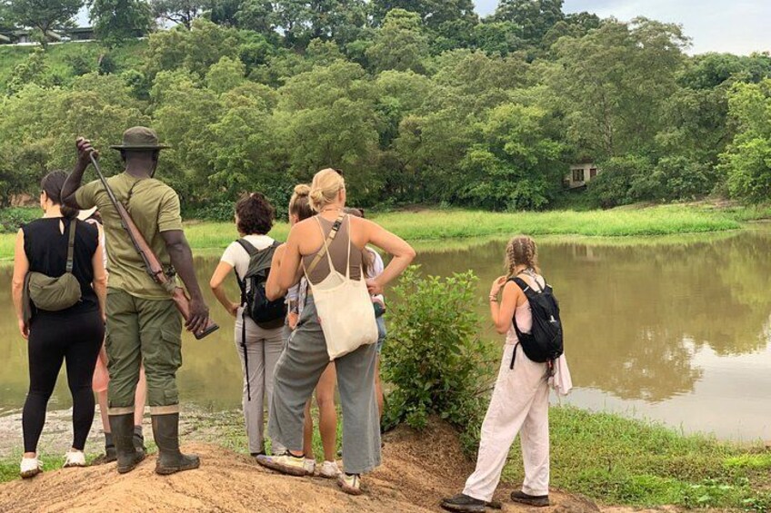 4 Days Hippos Sanctuary & Mole National Park, Wildlife Safari. 5
