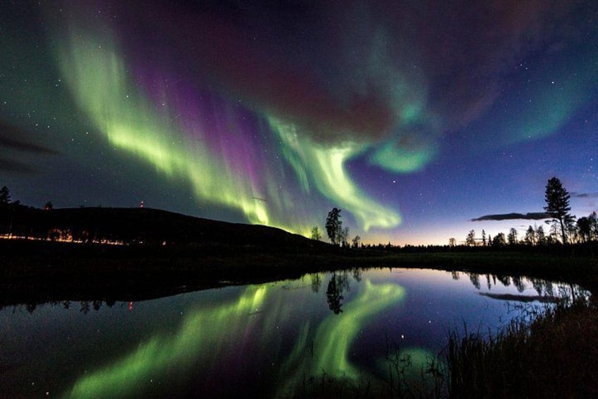 Auroras boreales sobre un lago tranquilo, con árboles y una colina distante. 1