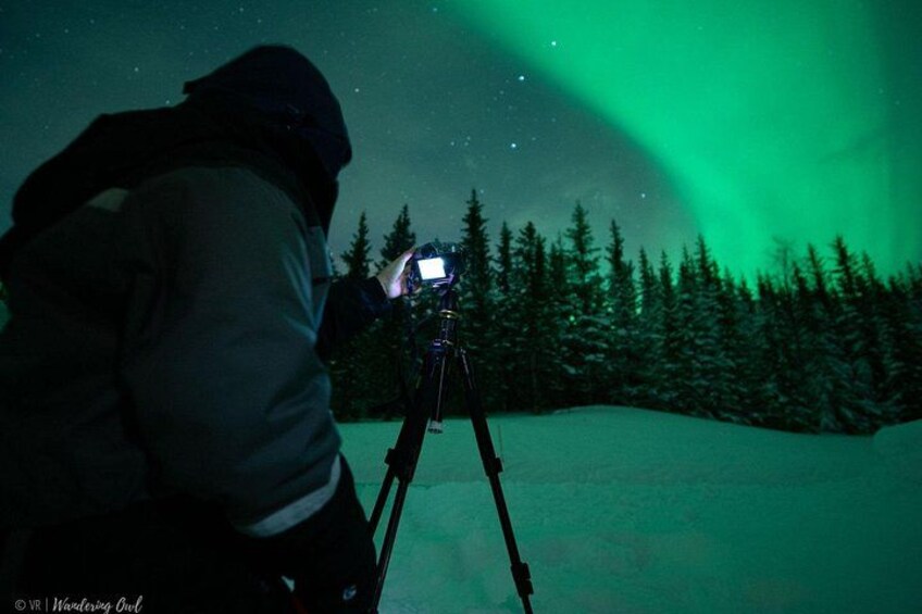 Una persona con una cámara sobre un trípode, capturando las auroras boreales en un bosque nevado. 4