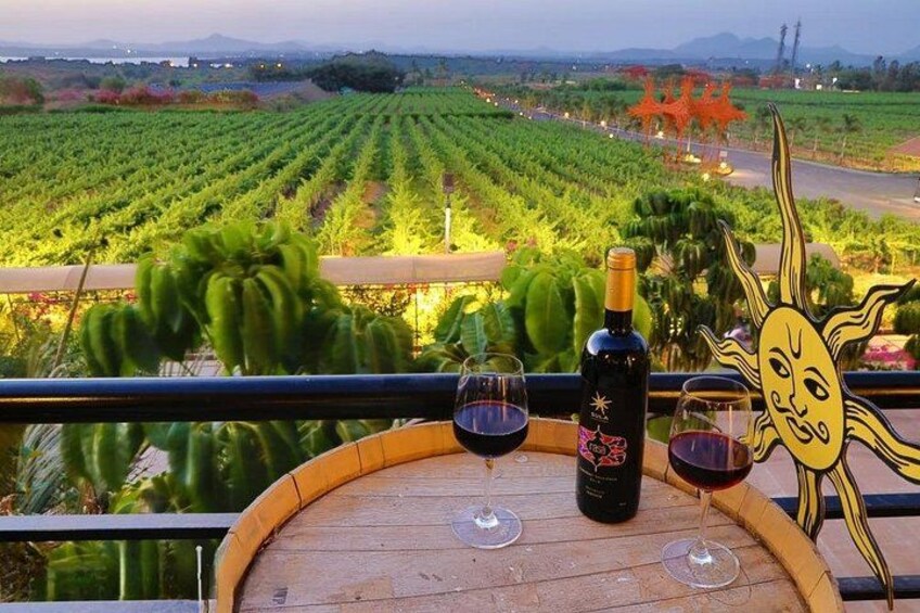 A vineyard with rows of grapevines, a wine bottle, and glasses on a table. 2