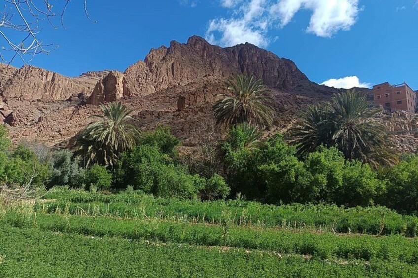 A mountainous landscape with palm trees and a building in the background. 2