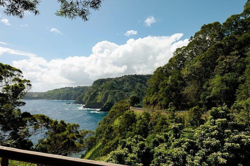 A coastal landscape with dense green foliage, a clear blue sea, and a wooden fence. 1