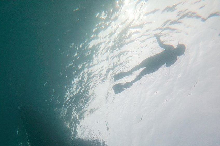 A person swimming underwater. 5