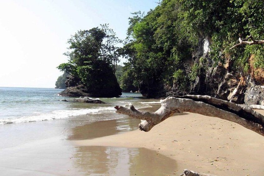 A True Trinidad North Coast Excursion experience 1