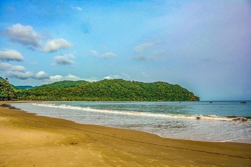 A True Trinidad North Coast Excursion experience 3